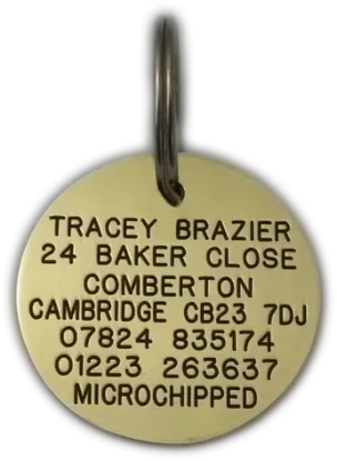 High-Quality 38mm Brass Dog Tag for Pets