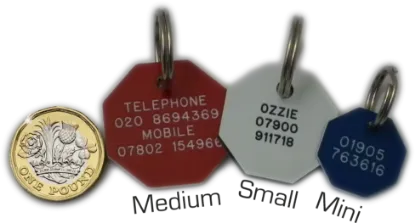 Picture of Octagonal Plastic Dog Tags 