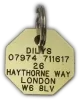 Picture of Brass Octagonal Pet Tag (Small)