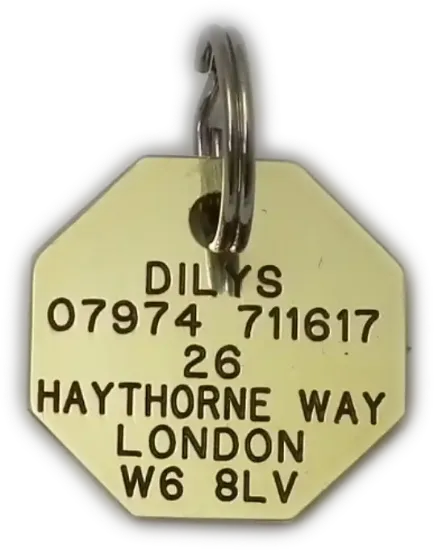 Picture of Brass Octagonal Pet Tag (Small)