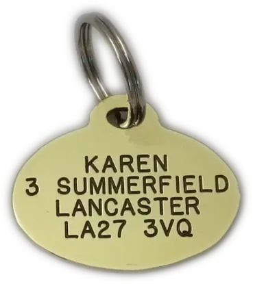 Picture of  Brass Oval Dog Tag (Small)