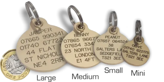 Dog Tags Polished Brass Pet Tags Durable Engraved for Identification Free UK Delivery