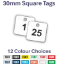Picture of 30mm Sqaure Traffoyte Plastic Valve Tags 