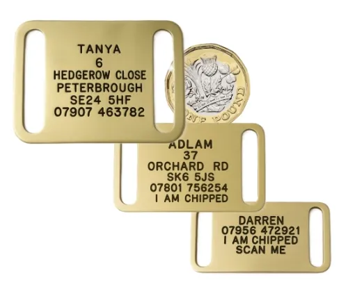 collar dog tags brass