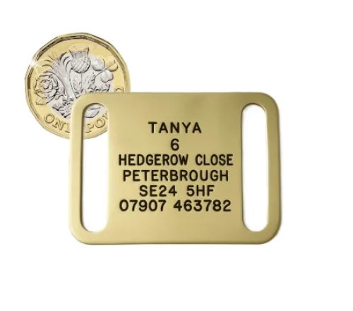 Picture of Collar Brass Dog ID Tags (Large)