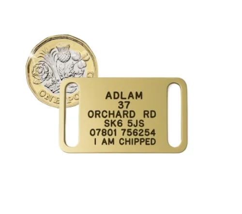 Picture of Brass Collar Dog ID Tags (Medium)