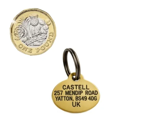 Picture of Brass Oval Pet ID Tag (Mini)