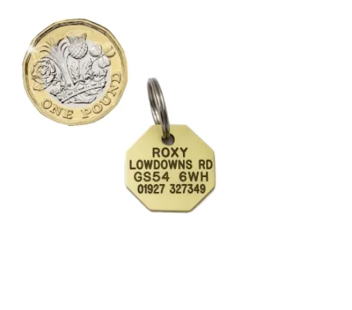 Picture of Brass Octagonal Pet Tag (Mini)